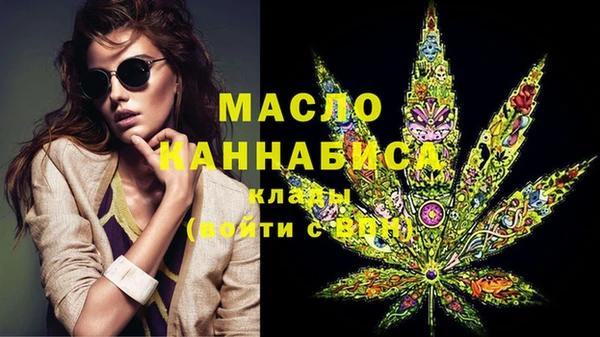 шишки Абаза