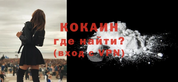 шишки Абаза
