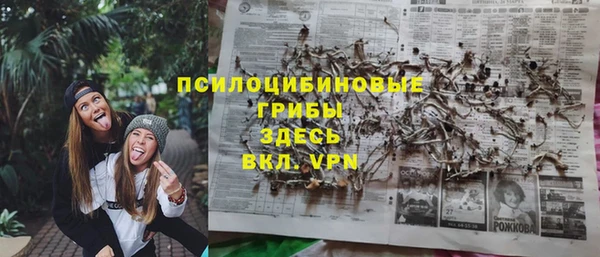 шишки Абаза