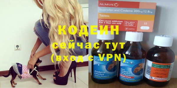 шишки Абаза