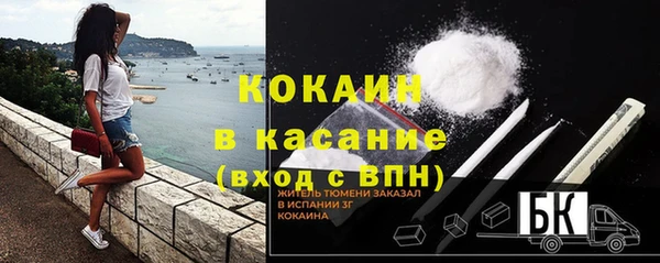 шишки Абаза