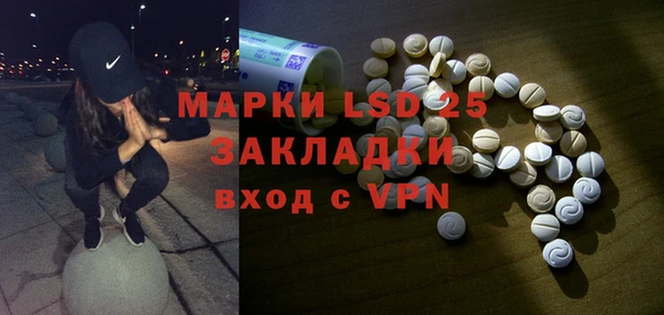 шишки Абаза