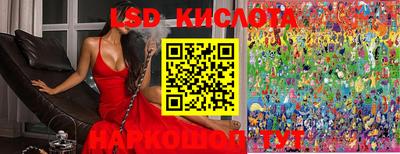 apvp Кунгур