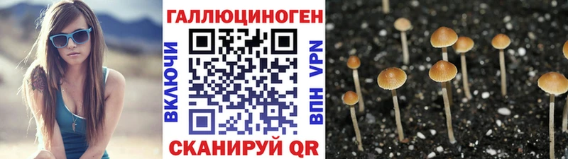 купить закладку  площадка как зайти  Галлюциногенные грибы MAGIC MUSHROOMS  Сальск 