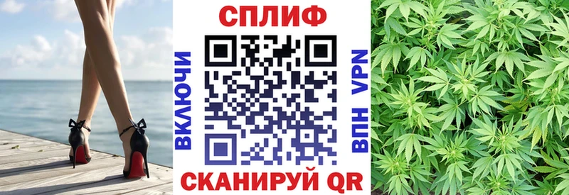 купить наркотик  Сальск  omg   МАРИХУАНА AK-47 